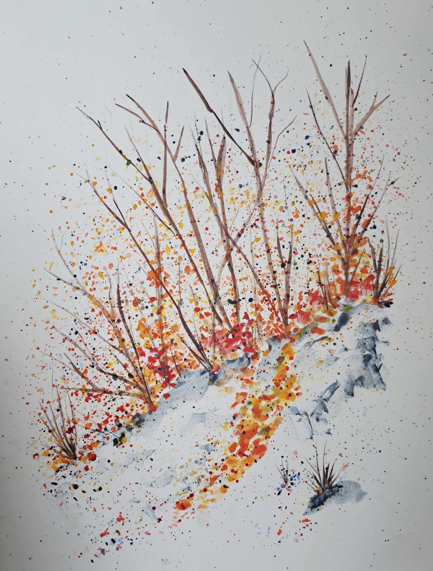 Winter Hiking