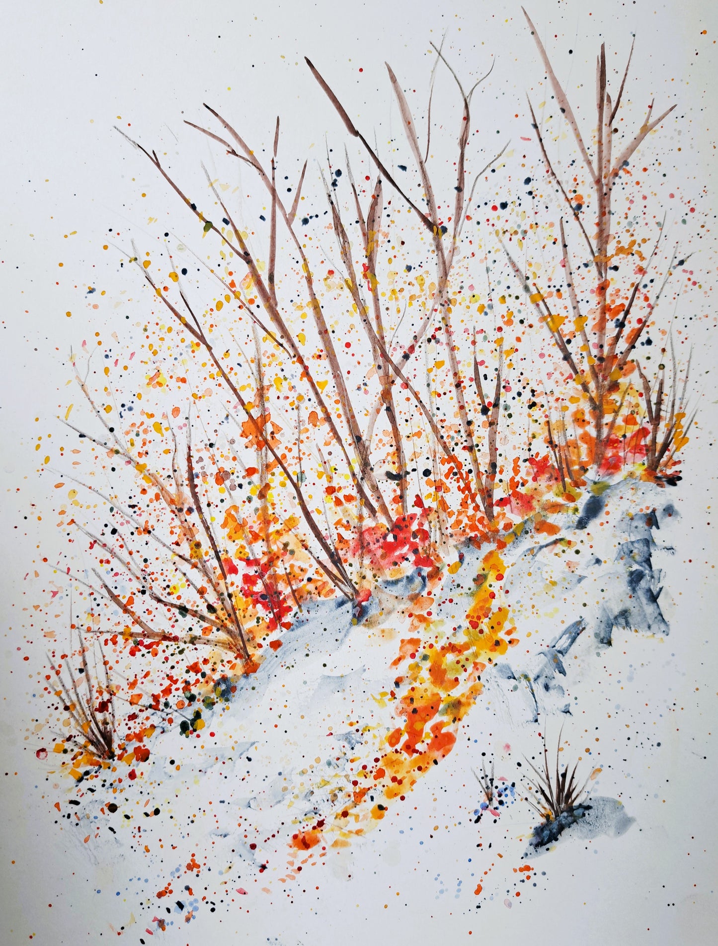 Winter Hiking