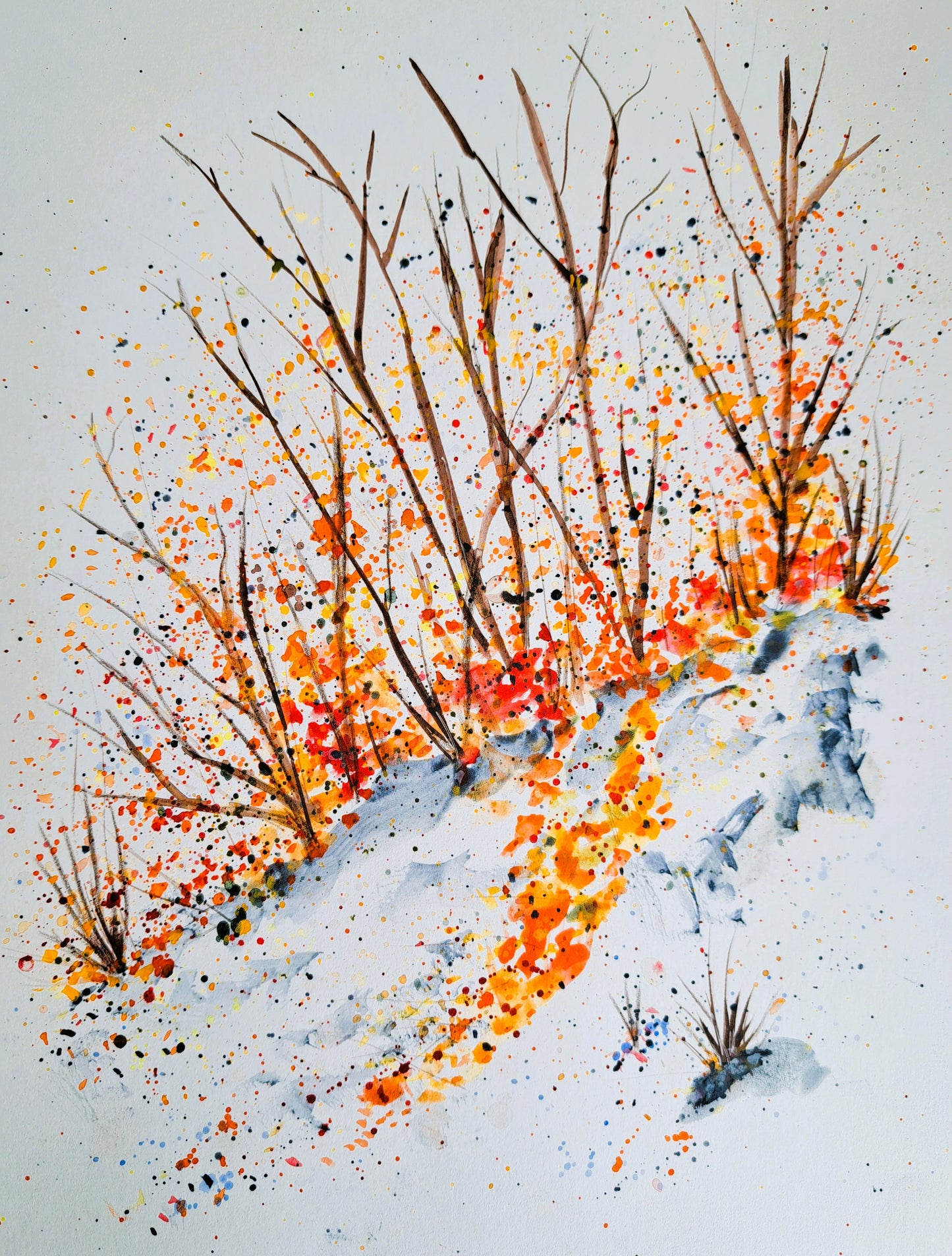Winter Hiking
