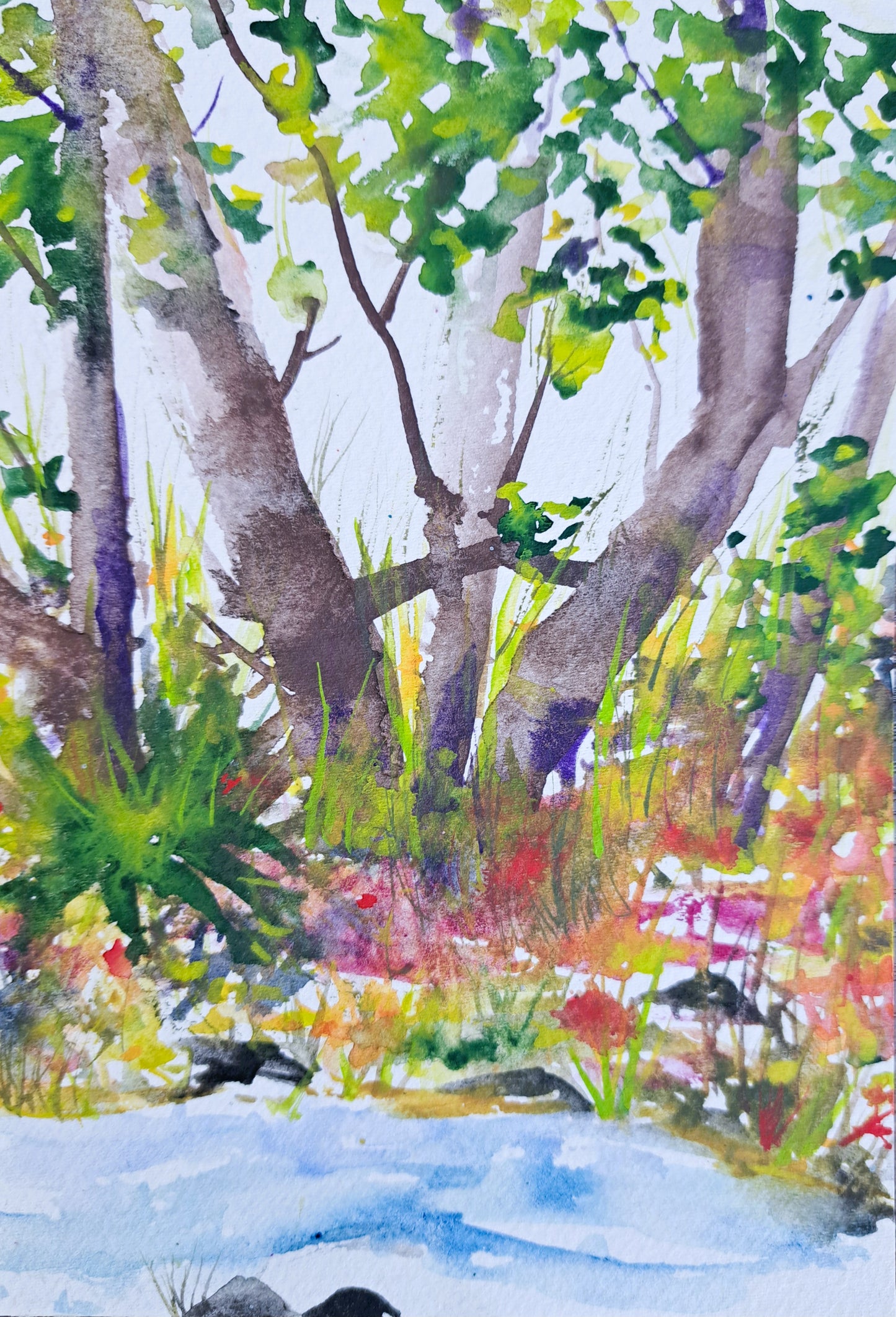 Wilderness Wonder Watercolor