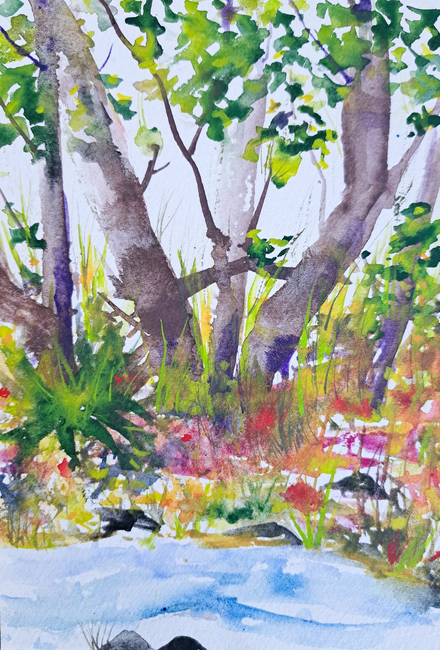 Wilderness Wonder Watercolor