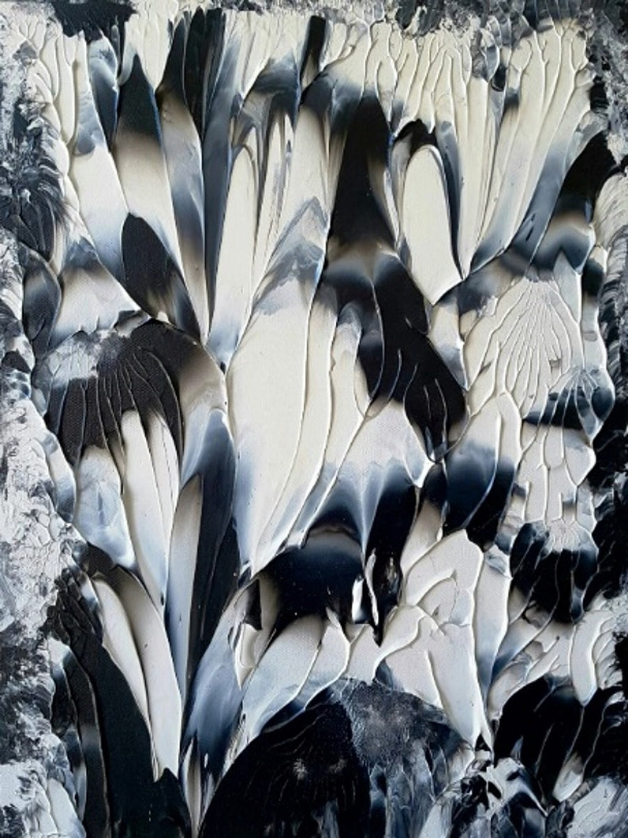 Black White Feathers