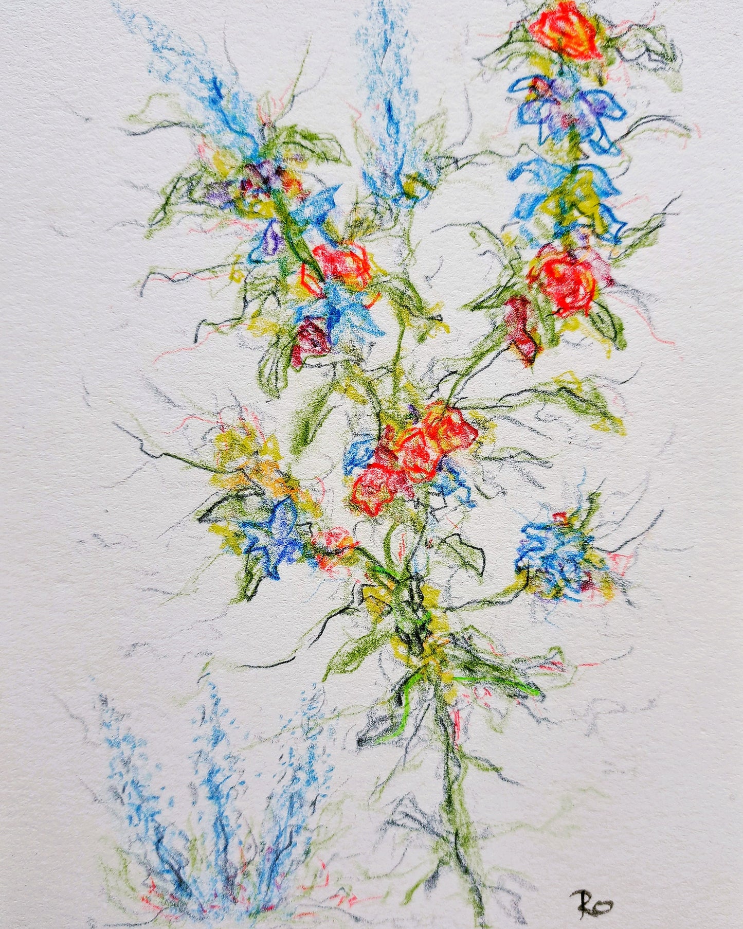 Wild Flowers By the Side of the Road Colored Pencil Drawing