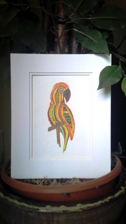 Parrot of Caribbean Original Tri-Color Pencil Drawing